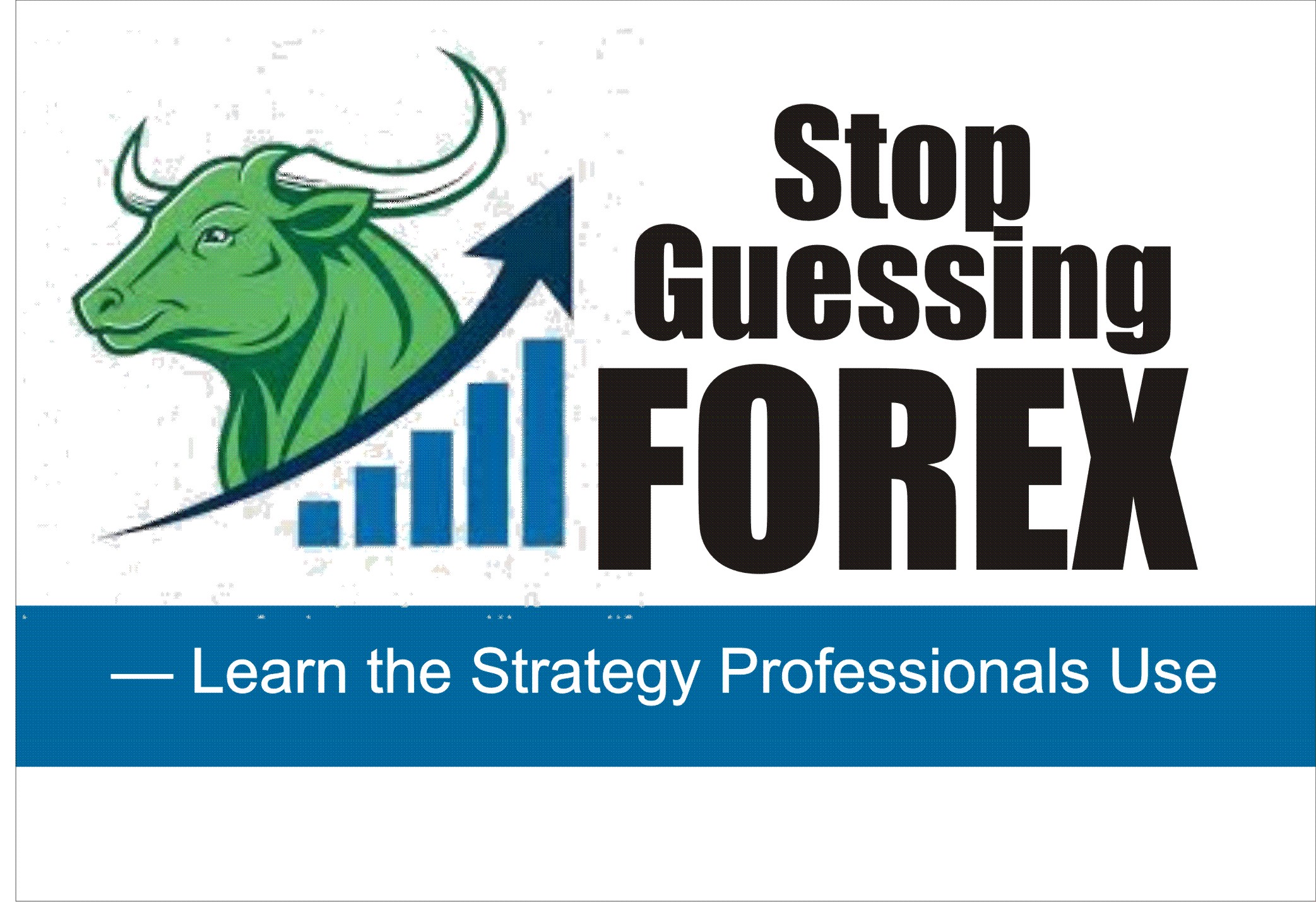 bull forex training